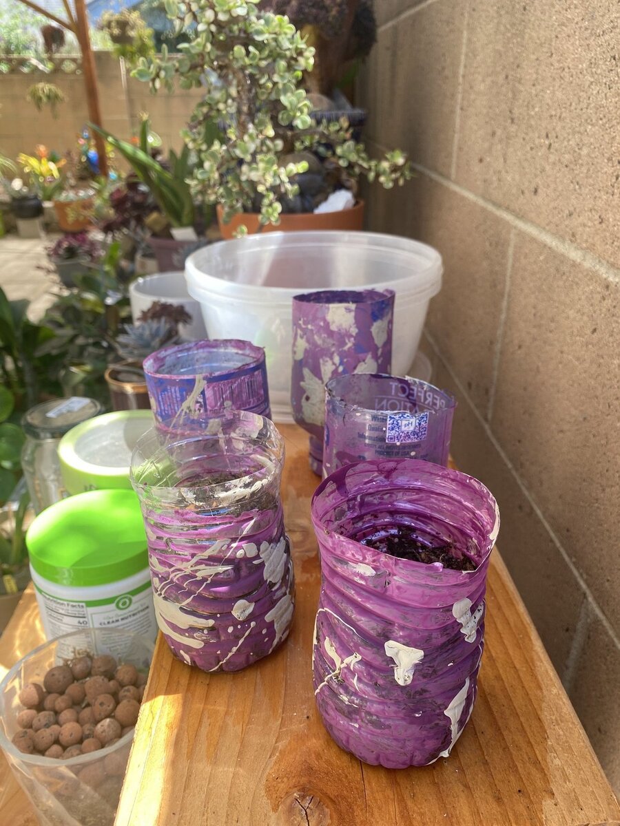Painted jars