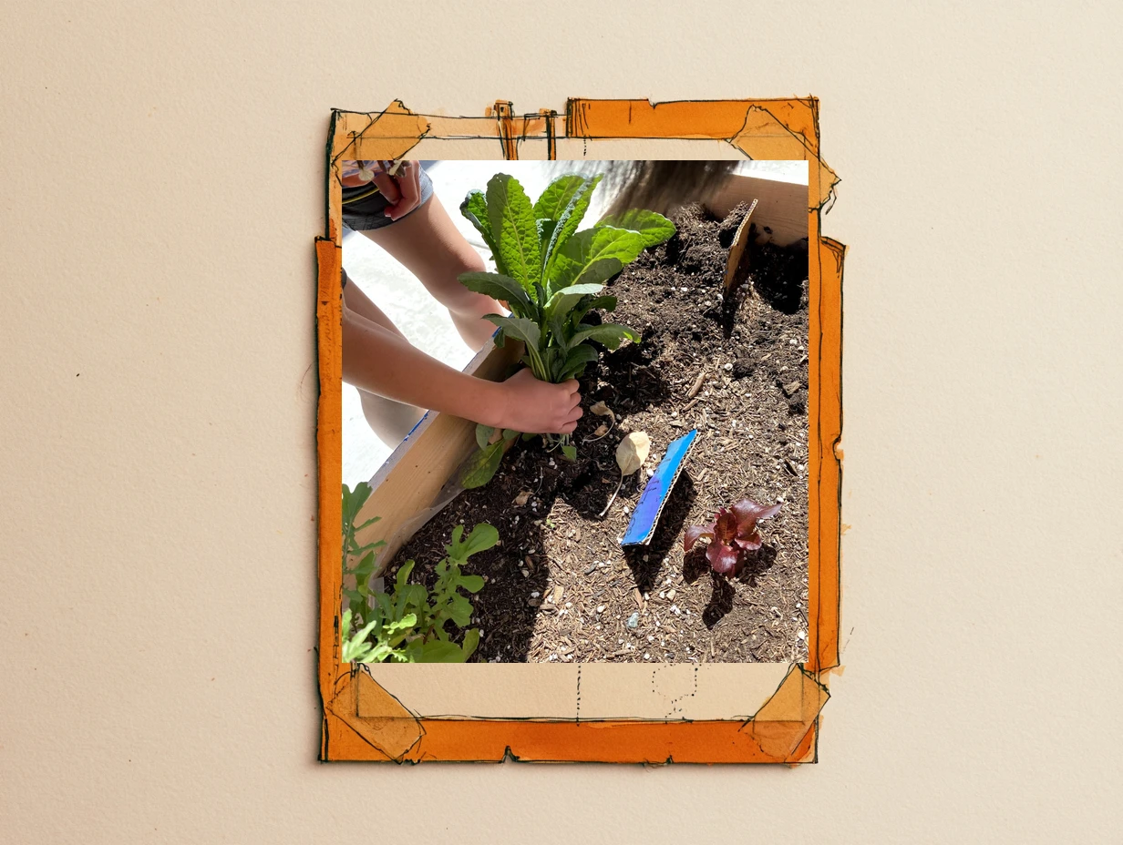 Garden Science Lab — raised bed project