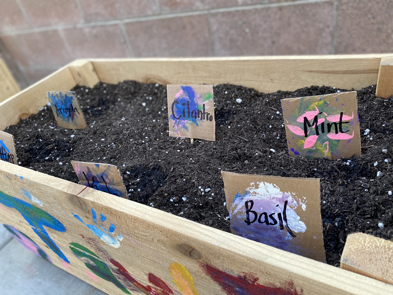 Hand-painted cardboard labels standing in a freshly planted box of dark soil