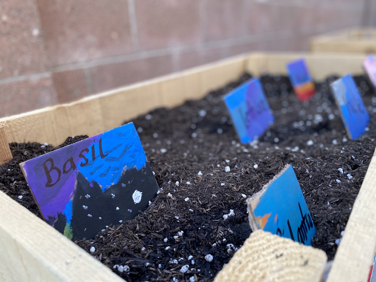 A hand-painted cardboard tag reading Basil, stuck in the soil